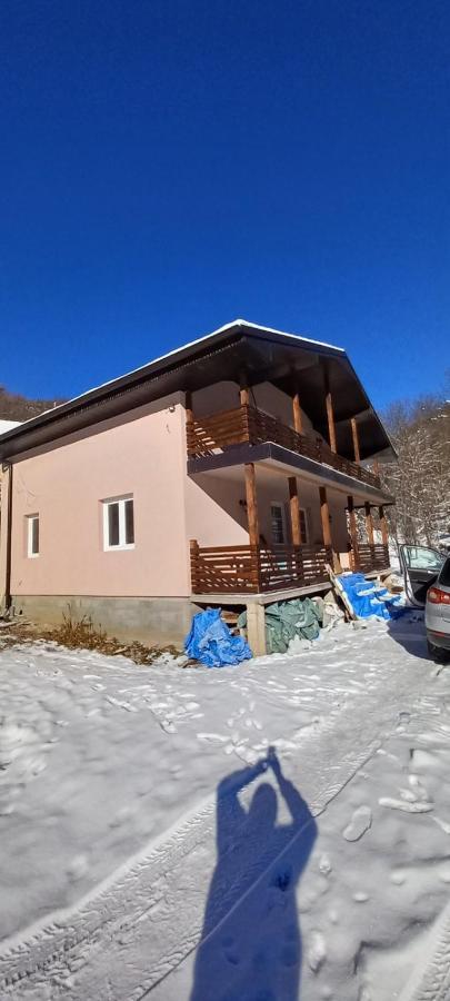 Vila Nika Crni Vrh Екстер'єр фото